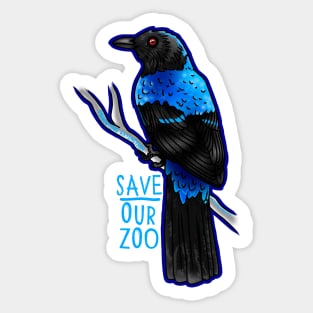 Day 4- Asian Fairy-Bluebird Sticker